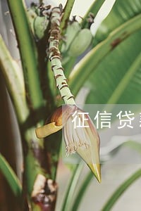 征信贷款多 但无逾期 征信贷款多 但无逾期